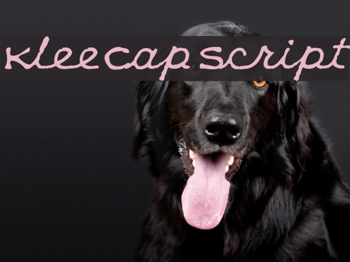 KleeCapScript Font examples