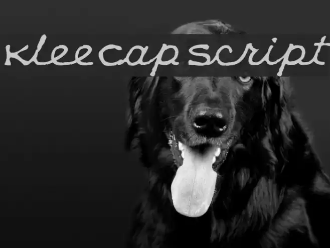 KleeCapScript Font examples