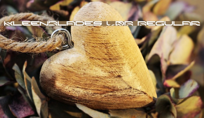 KleenBlades LDR Regular Example 1