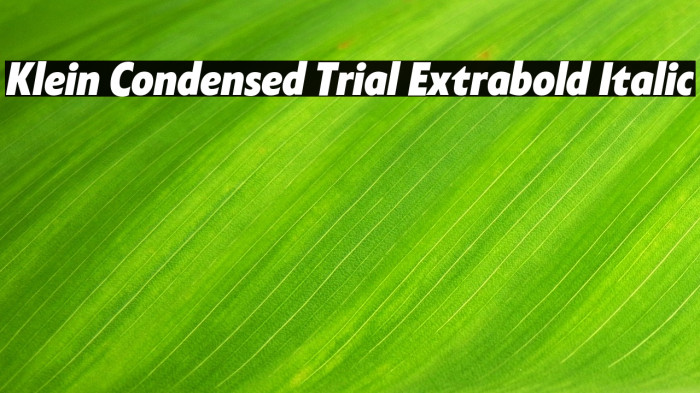 Klein Condensed Trial Extrabold Italic Example 1