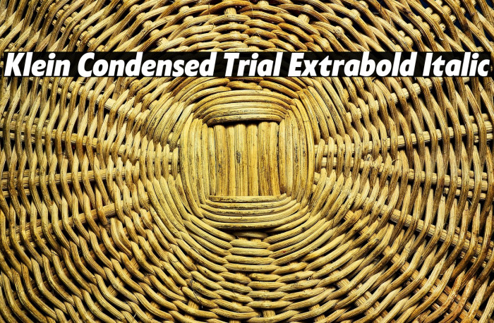 Klein Condensed Trial Extrabold Italic Example 2