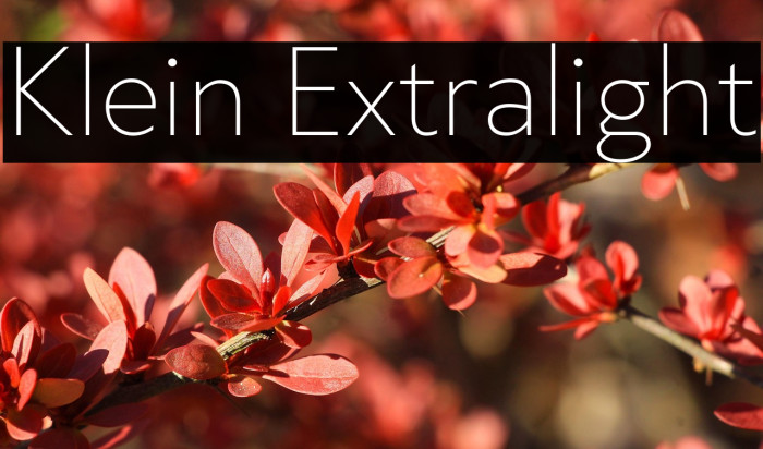 Klein Extralight Example 2
