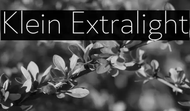 Klein Extralight Font examples