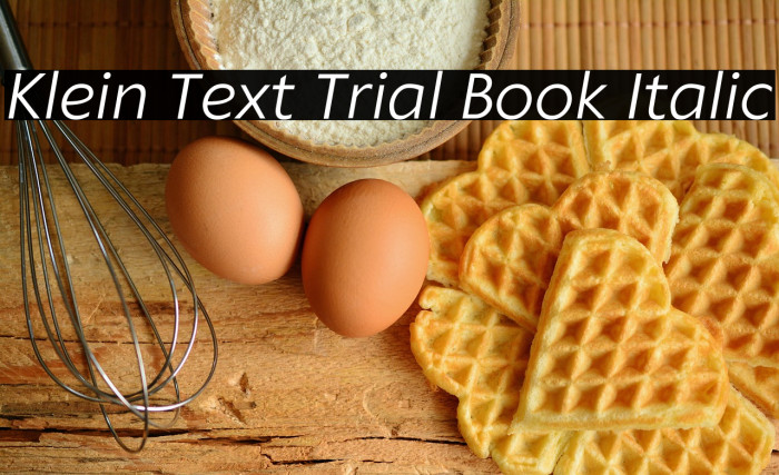 Klein Text Trial Book Italic Example 2