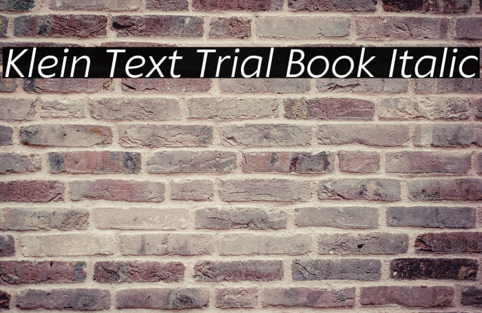 Klein Text Trial Book Italic Example 3