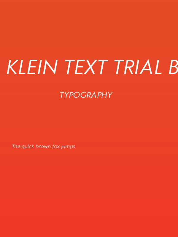 Klein Text Trial Book Italic Poster