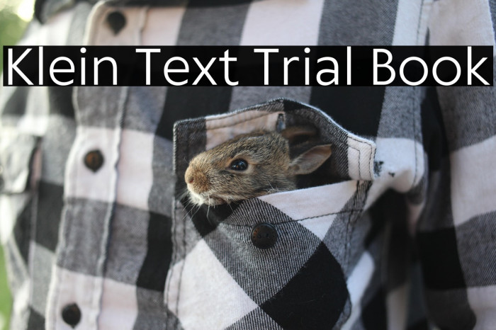 Klein Text Trial Book Example 2