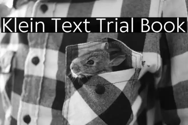 Klein Text Trial Book Font examples