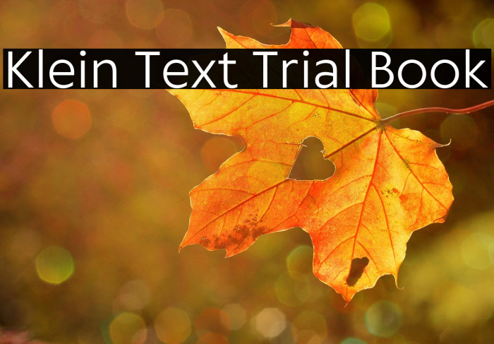 Klein Text Trial Book Example 3