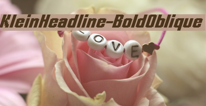 KleinHeadline-BoldOblique Font examples