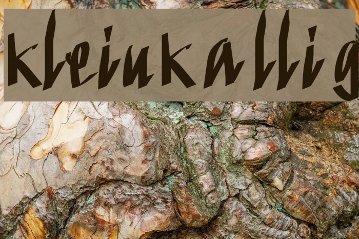 KleinKallig Font examples