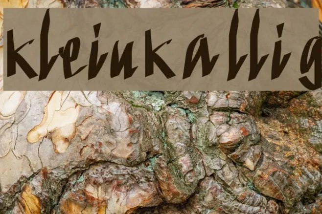 KleinKallig Example 1