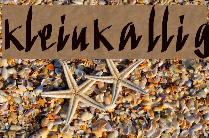 KleinKallig Font examples