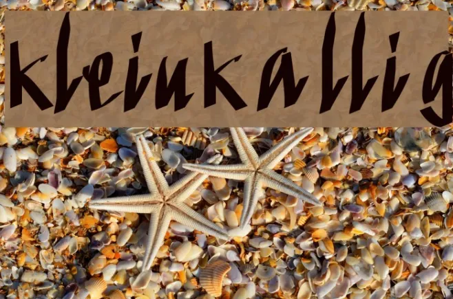 KleinKallig Example 2