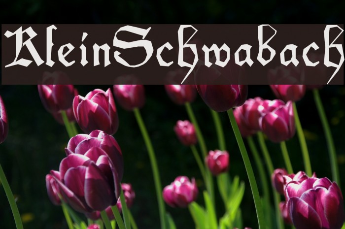 KleinSchwabach フォント examples