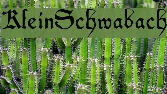 KleinSchwabach フォント examples