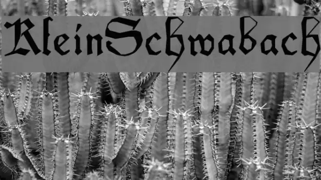 KleinSchwabach Font examples