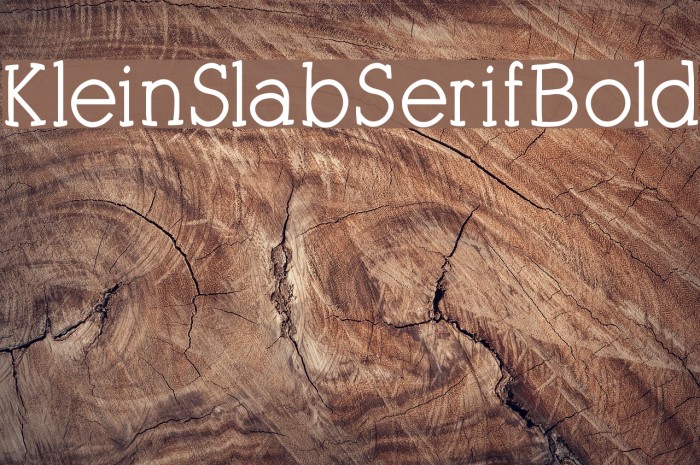 KleinSlabSerifBold Font examples