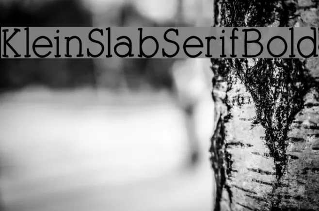 KleinSlabSerifBold Example 3