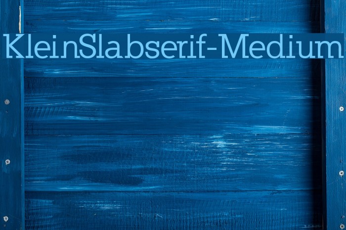 KleinSlabserif-Medium Font examples