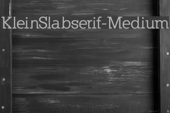 KleinSlabserif-Medium Fuentes examples