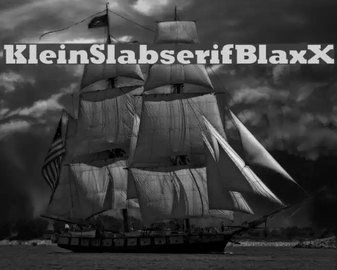 KleinSlabserifBlaxX フォント examples