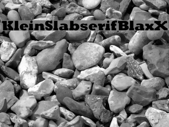 KleinSlabserifBlaxX フォント examples