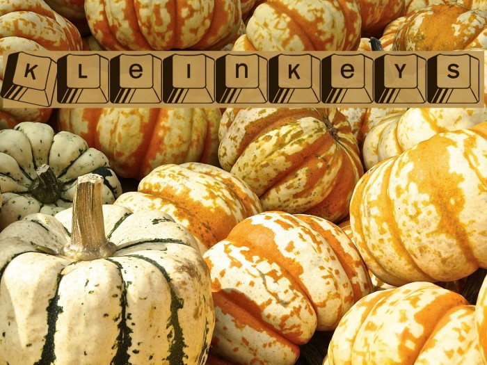 Kleinkeys Font examples