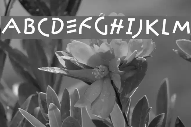 KleinsAmazon Font examples