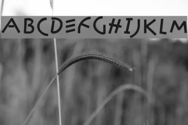 KleinsAmazon Font examples