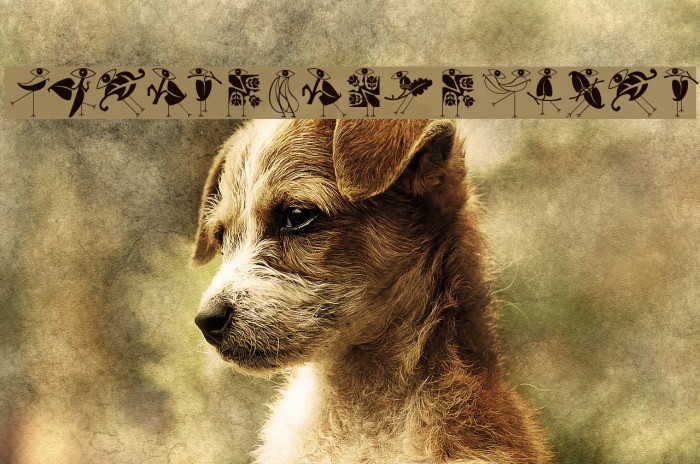 KleinsBirdsNoTen Font examples