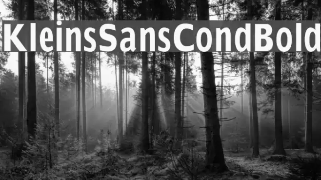 KleinsSansCondBold Font examples