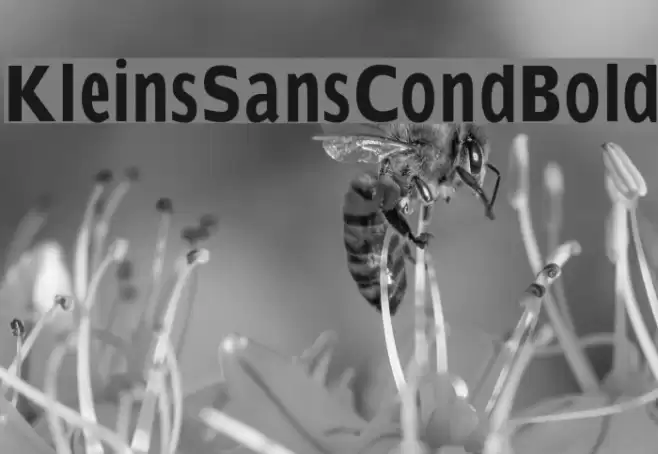 KleinsSansCondBold Font examples