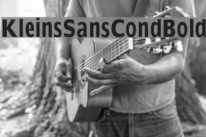 KleinsSansCondBold Font examples