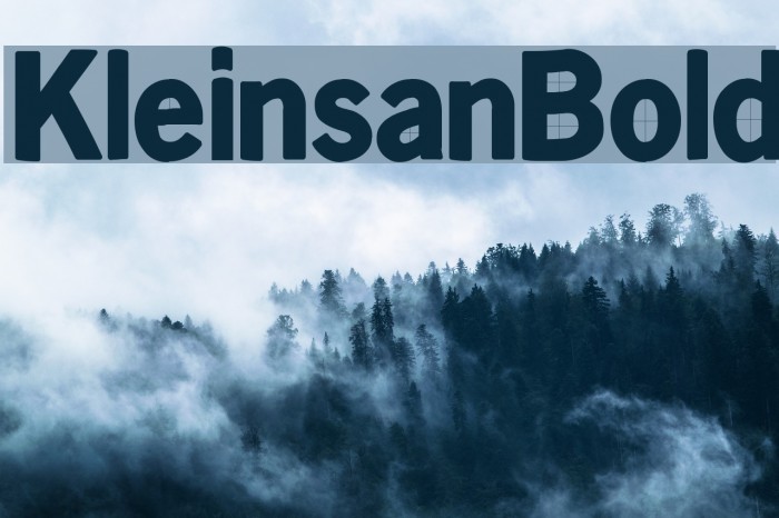 KleinsanBold Font examples