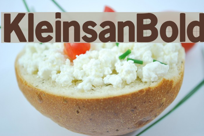 KleinsanBold Font examples