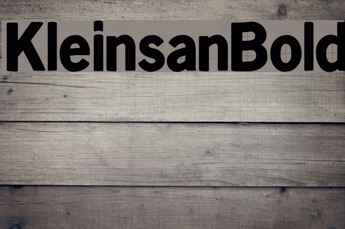 KleinsanBold Font examples