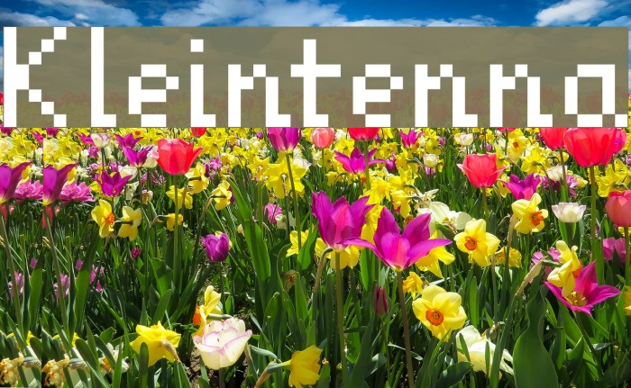 Kleintenna Font examples