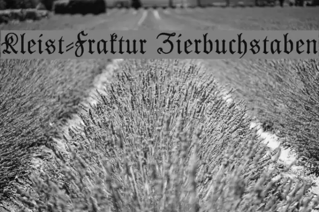 Kleist-Fraktur Zierbuchstaben Font examples