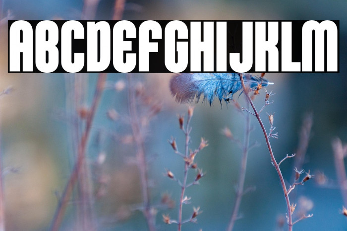 KleptocracyTitlingCd-Bold Example 1