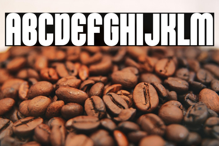 KleptocracyTitlingCd-Bold Example 2