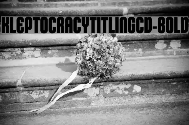 KleptocracyTitlingCd-Bold Font examples