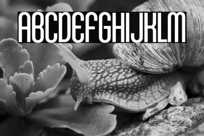 KleptocracyTitlingCdLt-Regular Font examples