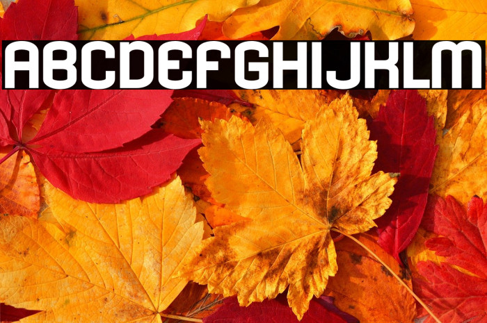 KleptocracyTitlingEx-Bold Example 1