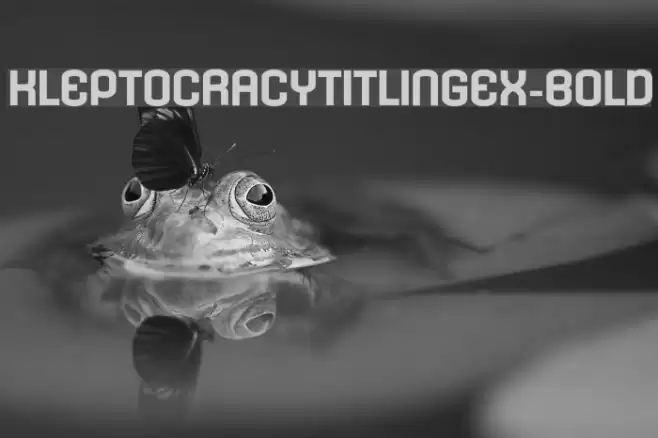 KleptocracyTitlingEx-Bold Font examples