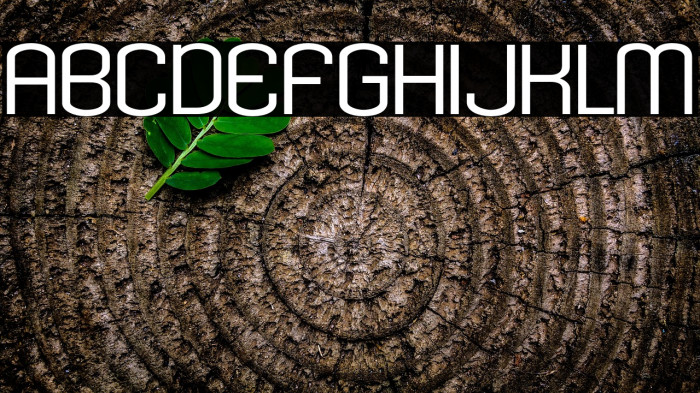 KleptocracyTitlingExLt-Regular Example 2