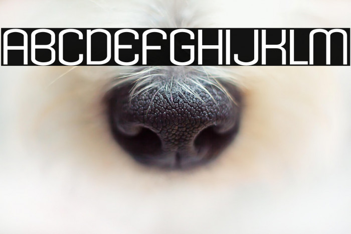 KleptocracyTitlingExLt-Regular Example 3