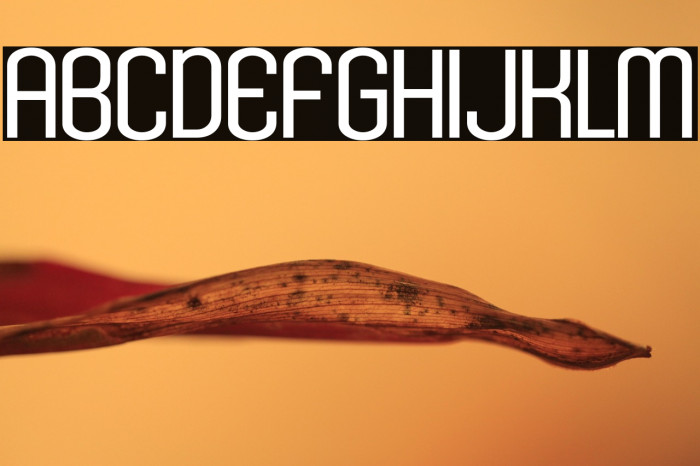 KleptocracyTitlingLt-Regular Example 1