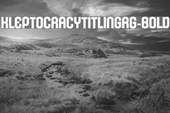 KleptocracyTitlingRg-Bold Font examples