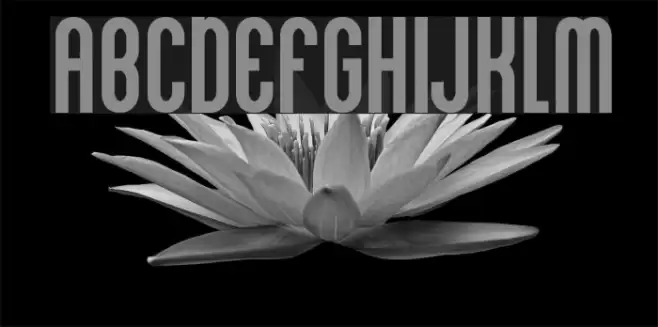 Kleptocracy Font examples